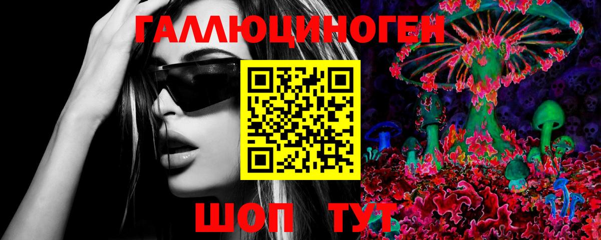 Галлюциногенные грибы мухоморы Дербент