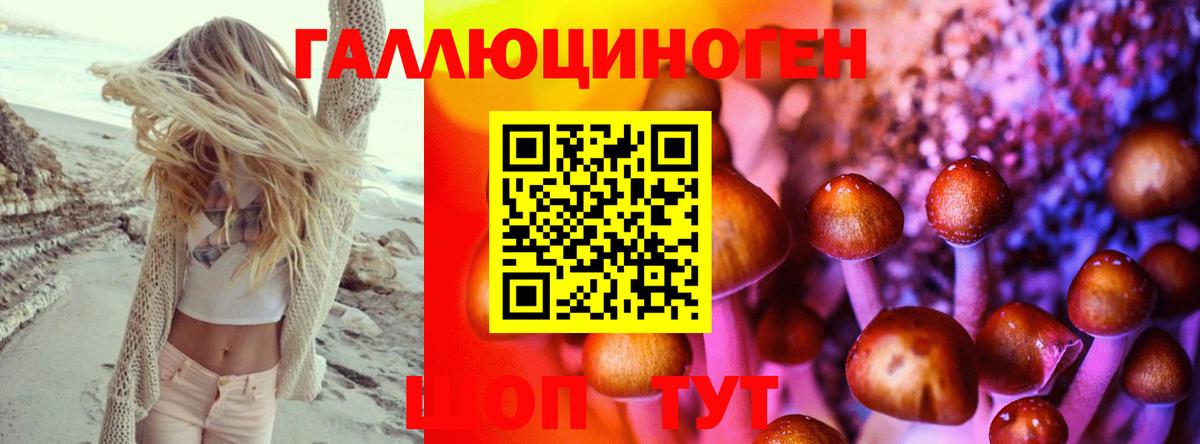 Псилоцибиновые грибы Cubensis  Вход с VPN  Дербент 